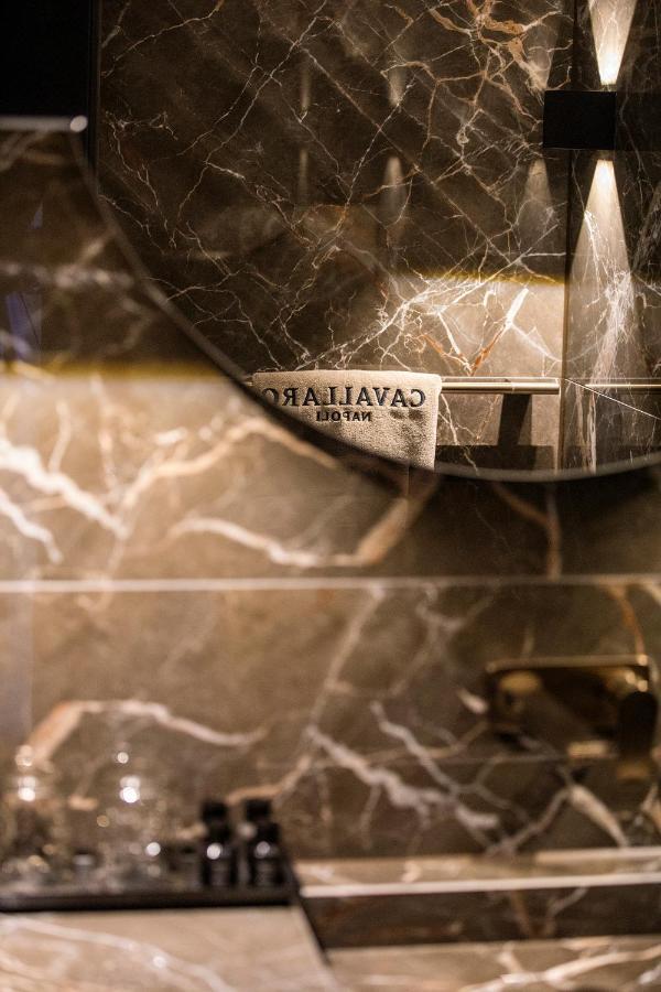 Cavallaro Hotel Haarlem Extérieur photo